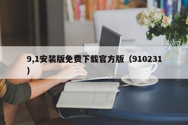 9,1安装版免费下载官方版(910231)