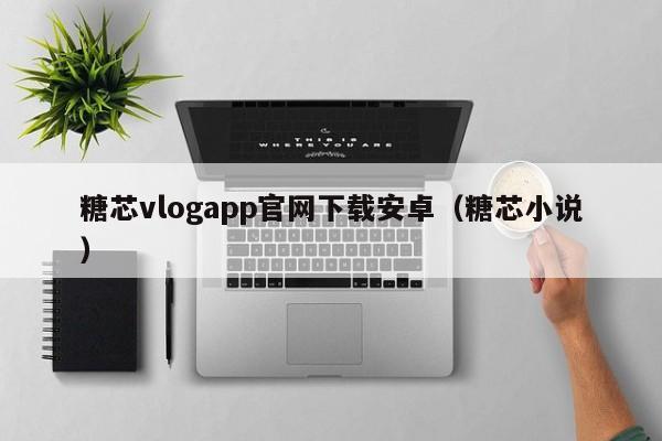 糖芯vlogapp官网下载安卓(糖芯小说)