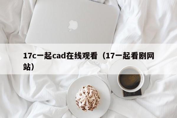 17c一起cad在线观看(17一起看剧网站)
