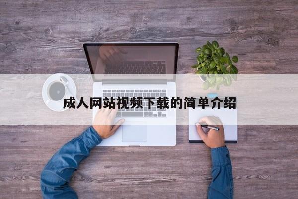 成人网站视频下载的简单介绍