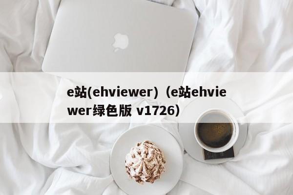 e站(ehviewer)（e站ehviewer绿色版 v1726）