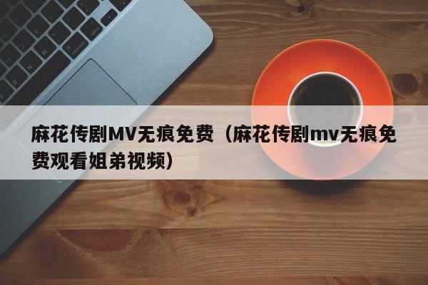 麻花传剧MV无痕免费(麻花传剧mv无痕免费观看姐弟视频)