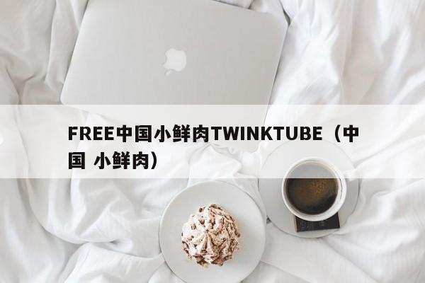 FREE中国小鲜肉TWINKTUBE(中国 小鲜肉)