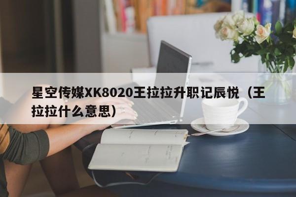星空传媒XK8020王拉拉升职记辰悦（王拉拉什么意思）