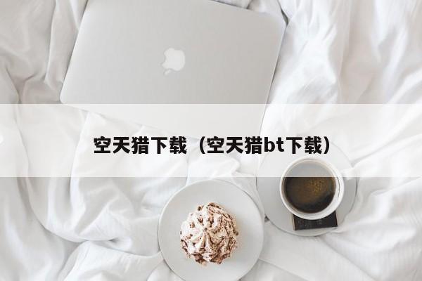 空天猎下载(空天猎bt下载)