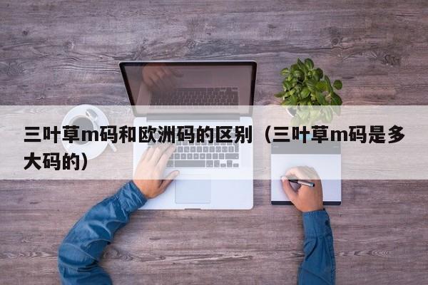 三叶草m码和欧洲码的区别(三叶草m码是多大码的)
