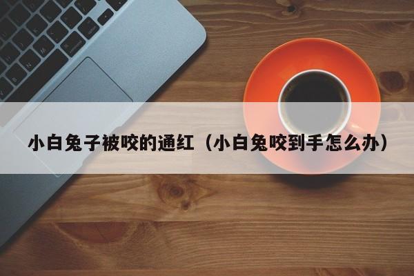 小白兔子被咬的通红(小白兔咬到手怎么办)