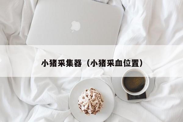 小猪采集器（小猪采血位置）
