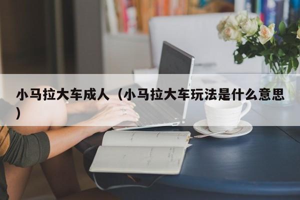 小马拉大车成人（小马拉大车玩法是什么意思）