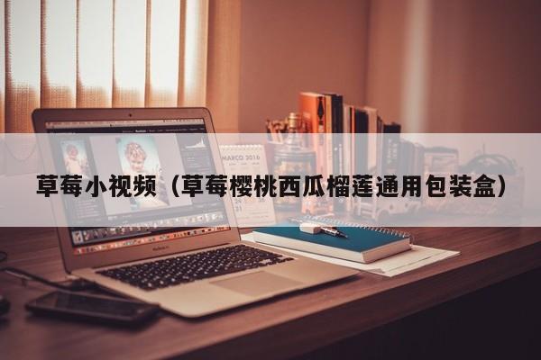 草莓小视频（草莓樱桃西瓜榴莲通用包装盒）