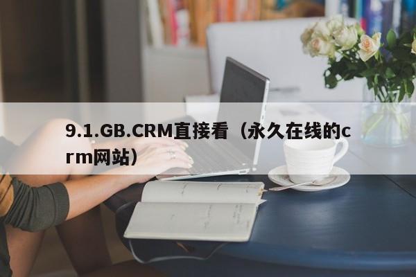 9.1.GB.CRM直接看（永久在线的crm网站）