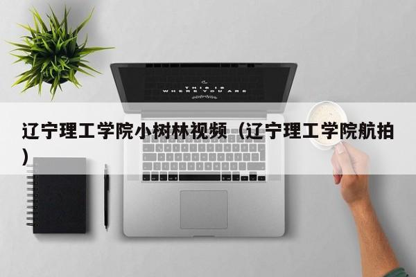 辽宁理工学院小树林视频（辽宁理工学院航拍）