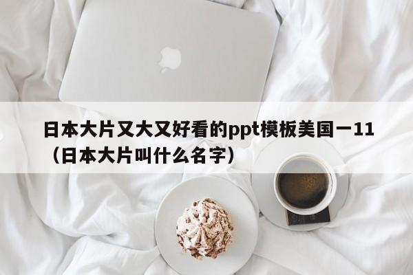 日本大片又大又好看的ppt模板美国一11（日本大片叫什么名字）