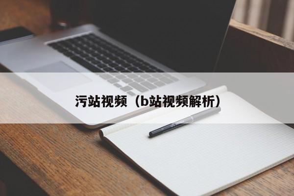 污站视频（b站视频解析）