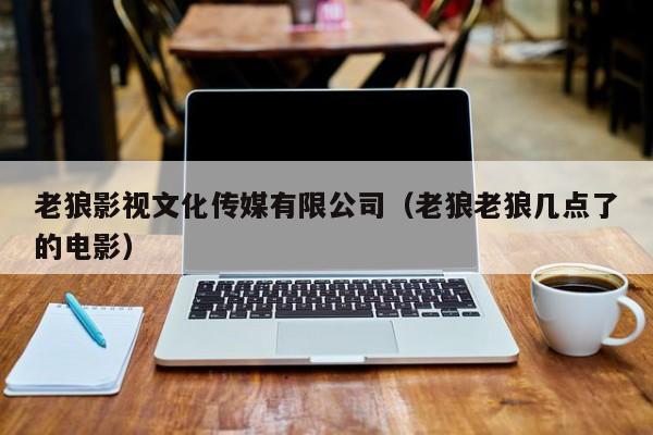 老狼影视文化传媒有限公司（老狼老狼几点了的电影）