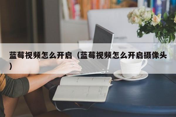 蓝莓视频怎么开启（蓝莓视频怎么开启摄像头）