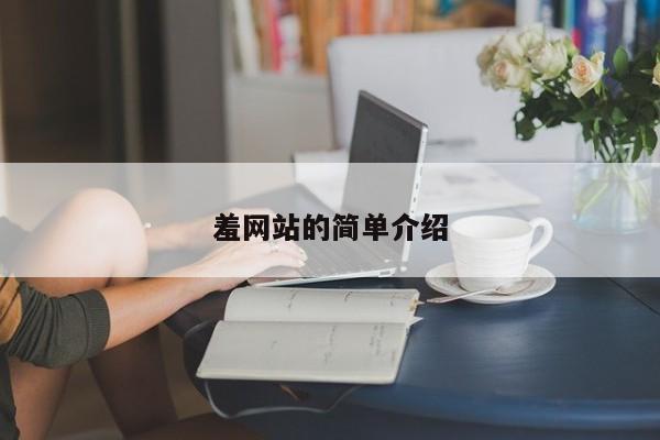 羞网站的简单介绍