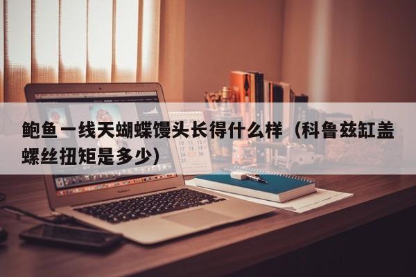 鲍鱼一线天蝴蝶馒头长得什么样(科鲁兹缸盖螺丝扭矩是多少)