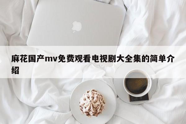 麻花国产mv免费观看电视剧大全集的简单介绍