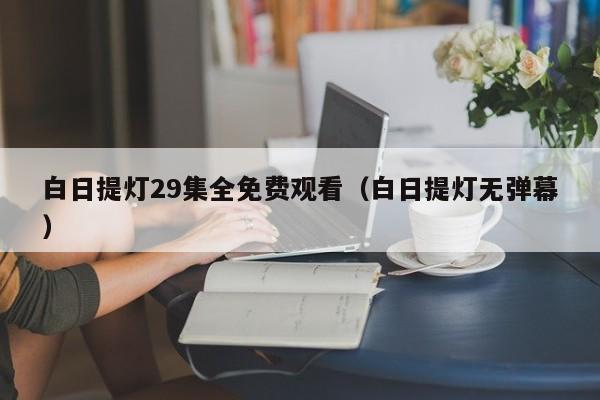 白日提灯29集全免费观看（白日提灯无弹幕）