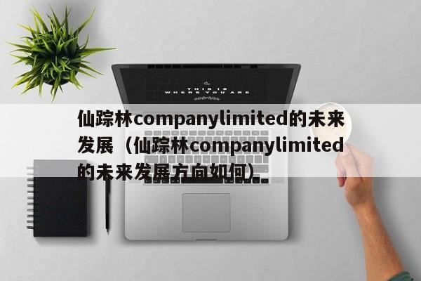 仙踪林companylimited的未来发展(仙踪林companylimited的未来发展方向如何)