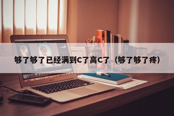 够了够了已经满到C了高C了(够了够了疼)