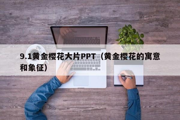 9.1黄金樱花大片PPT(黄金樱花的寓意和象征)