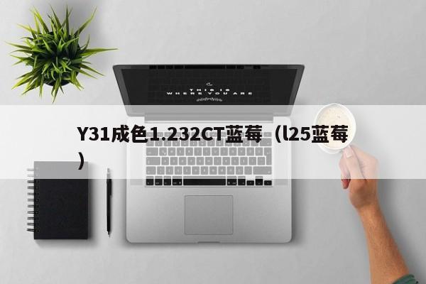 Y31成色1.232CT蓝莓(l25蓝莓)