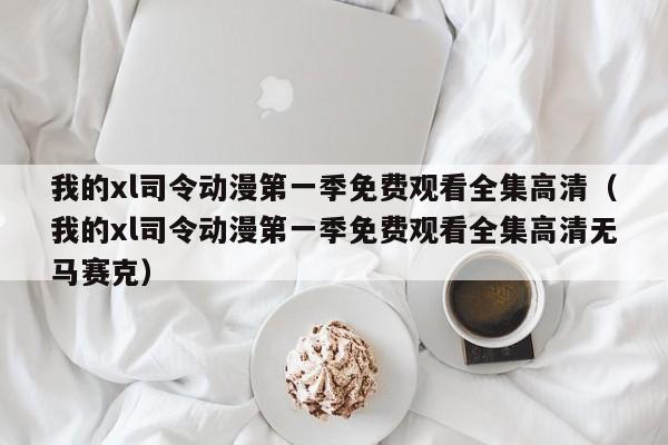 我的xl司令动漫第一季免费观看全集高清(我的xl司令动漫第一季免费观看全集高清无马赛克)