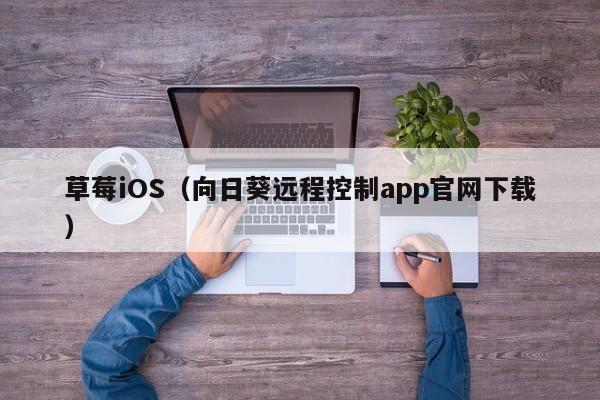 草莓iOS（向日葵远程控制app官网下载）