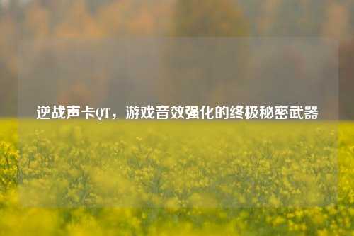 逆战声卡QT，游戏音效强化的终极秘密武器