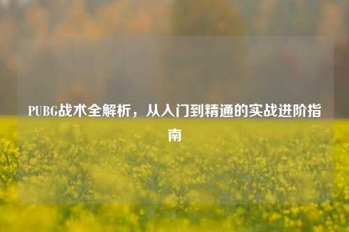 PUBG战术全解析，从入门到精通的实战进阶指南