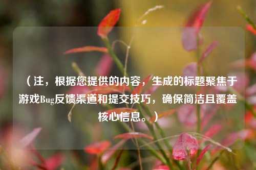 （注，根据您提供的内容，生成的标题聚焦于游戏Bug反馈渠道和提交技巧，确保简洁且覆盖核心信息。）