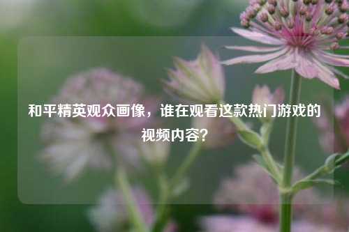 和平精英观众画像，谁在观看这款热门游戏的视频内容？