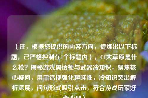 （注，根据您提供的内容方向，提炼出以下标题，已严格控制在1个标题内），CF大草原是什么枪？揭秘游戏黑话梗与武器冷知识，聚焦核心疑问，用黑话梗强化趣味性，冷知识突出解析深度，问句形式吸引点击，符合游戏玩家好奇心理）