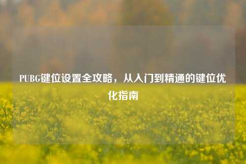 PUBG键位设置全攻略，从入门到精通的键位优化指南