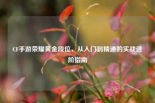 CF手游荣耀黄金段位，从入门到精通的实战进阶指南