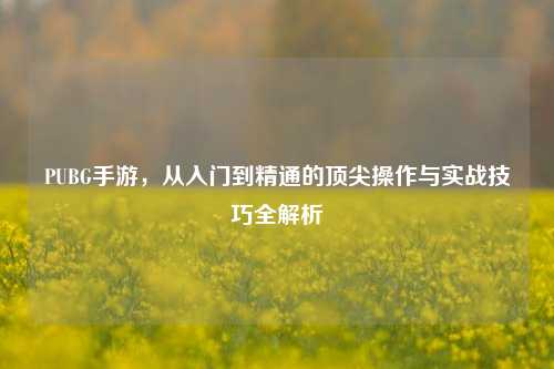 PUBG手游，从入门到精通的顶尖操作与实战技巧全解析