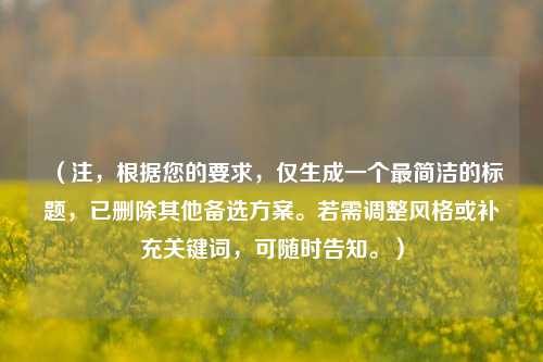 （注，根据您的要求，仅生成一个最简洁的标题，已删除其他备选方案。若需调整风格或补充关键词，可随时告知。）