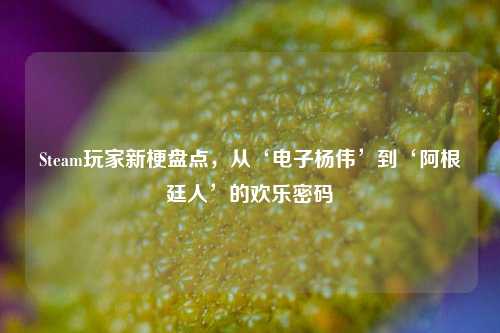 Steam玩家新梗盘点，从‘电子杨伟’到‘阿根廷人’的欢乐密码