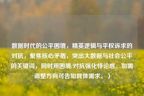 数据时代的公平困境，精英逻辑与平权诉求的对抗，聚焦核心矛盾，突出大数据与社会公平的关键词，同时用困境/对抗强化悖论感。如需调整方向可告知具体需求。）