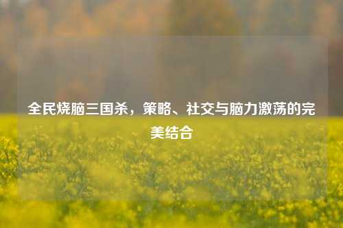全民烧脑三国杀，策略、社交与脑力激荡的完美结合