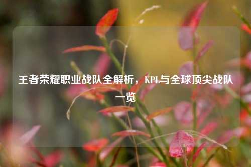 王者荣耀职业战队全解析，KPL与全球顶尖战队一览