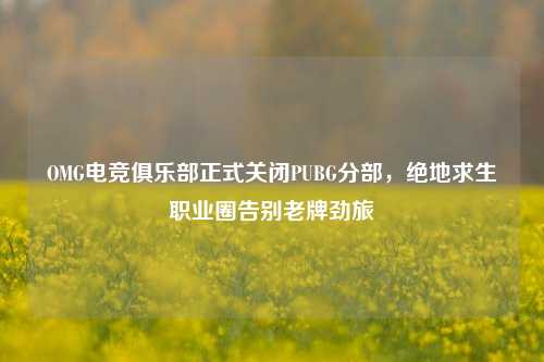 OMG电竞俱乐部正式关闭PUBG分部，绝地求生职业圈告别老牌劲旅