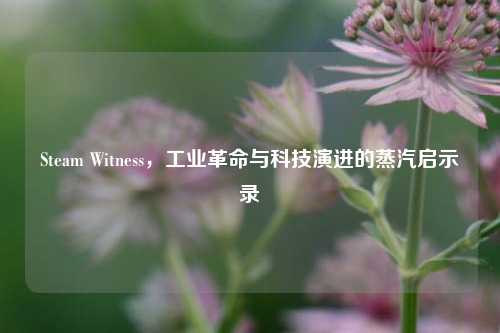 Steam Witness，工业革命与科技演进的蒸汽启示录