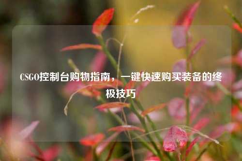 CSGO控制台购物指南，一键快速购买装备的终极技巧