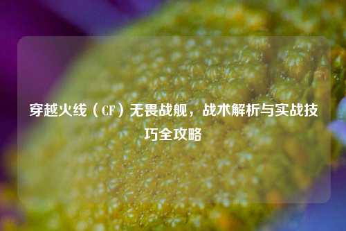 穿越火线（CF）无畏战舰，战术解析与实战技巧全攻略