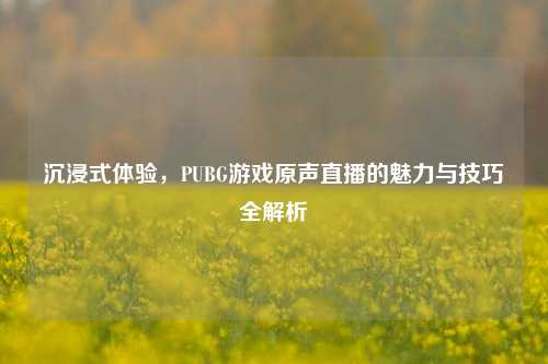 沉浸式体验，PUBG游戏原声直播的魅力与技巧全解析