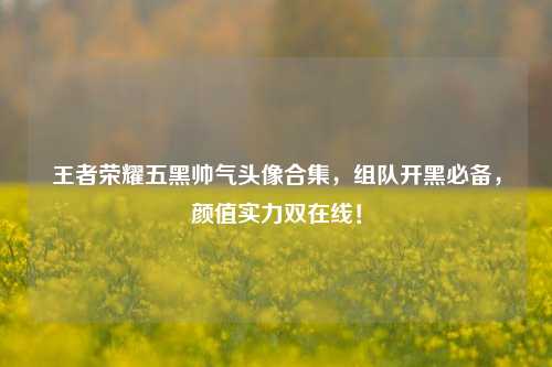王者荣耀五黑帅气头像合集，组队开黑必备，颜值实力双在线！