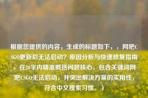 根据您提供的内容，生成的标题如下，，网吧CSGO更新后无法启动？原因分析与快速修复指南，在20字内精准概括问题核心，包含关键词网吧CSGO无法启动，并突出解决方案的实用性，符合中文搜索习惯。）